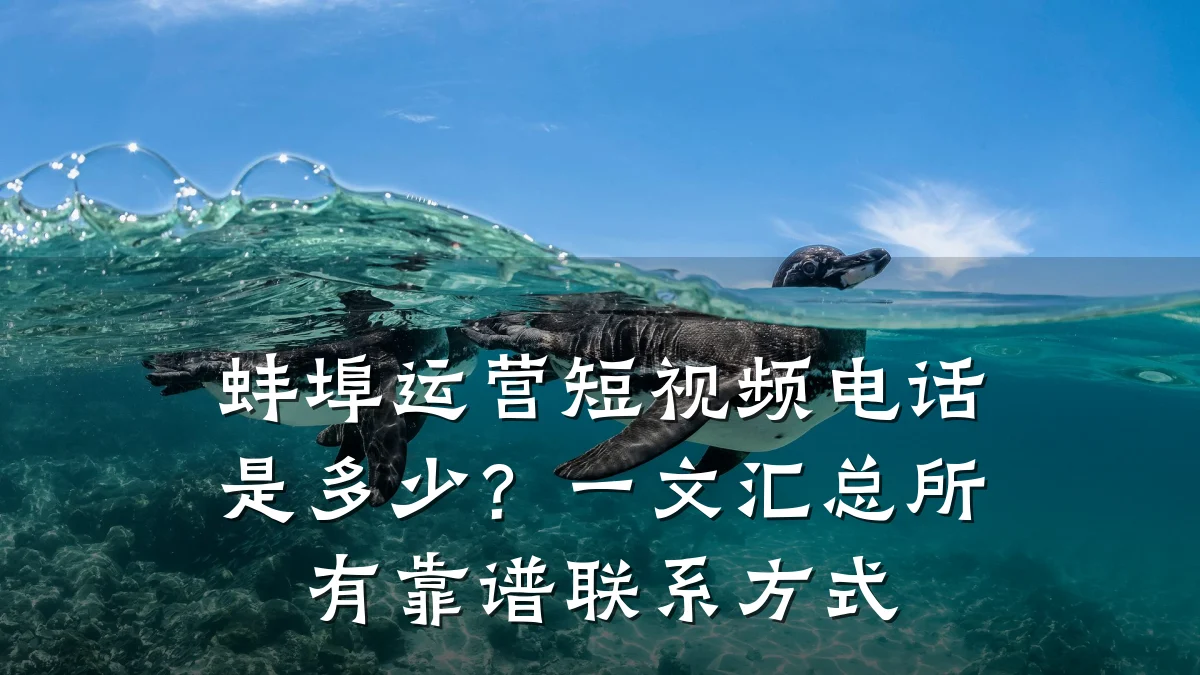 蚌埠运营短视频电话是多少?一文汇总所有靠谱联系方式
