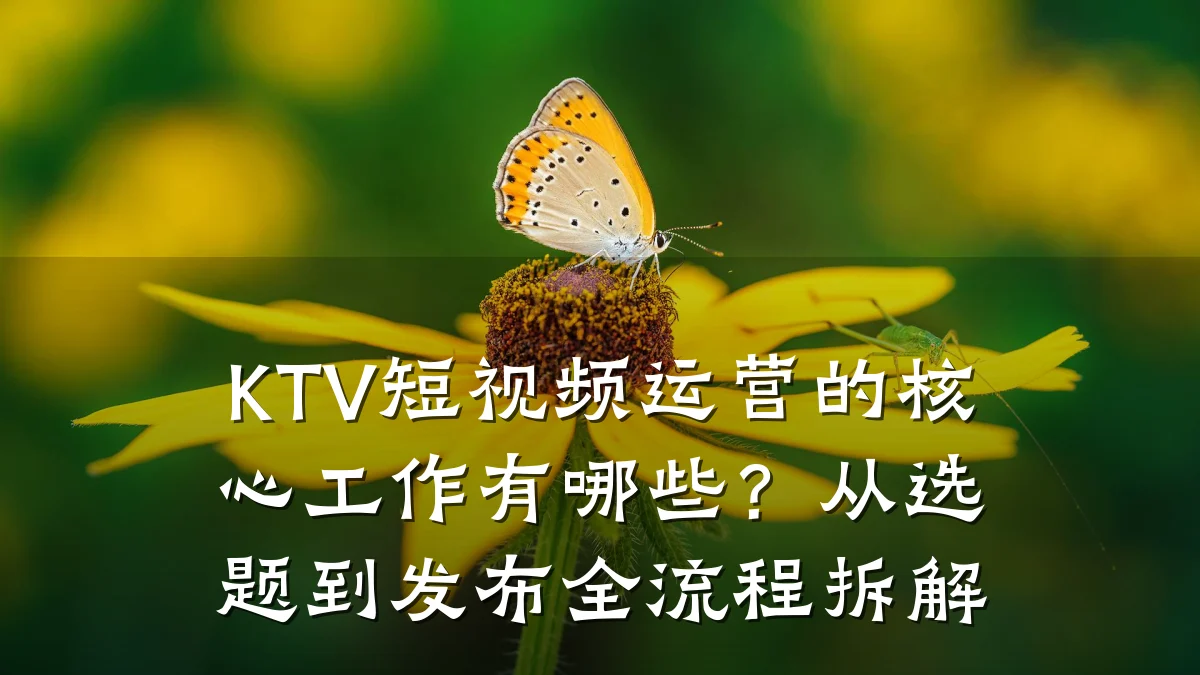 KTV短视频运营的核心工作有哪些?从选题到发布全流程拆解