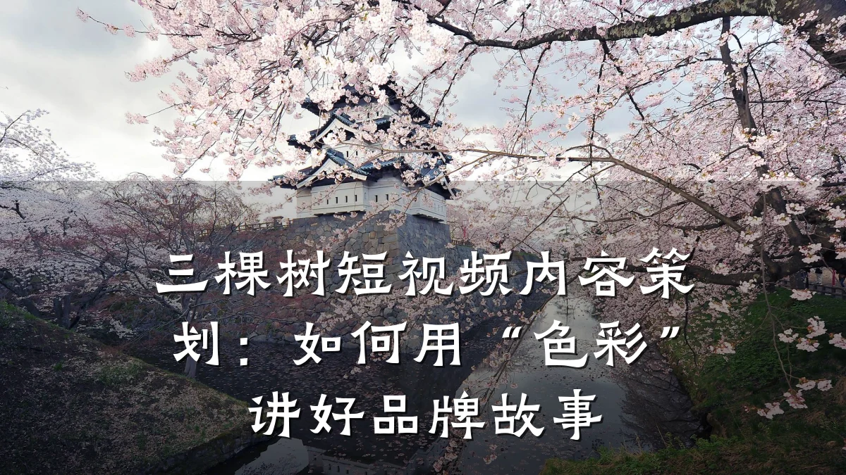 三棵树短视频内容策划:如何用“色彩”讲好品牌故事