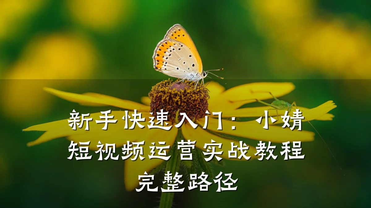 新手快速入门:小婧短视频运营实战教程完整路径